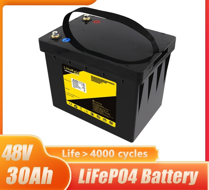 48V 30AH LiFePO4 battery 30A BMS 750w 2500w electric
