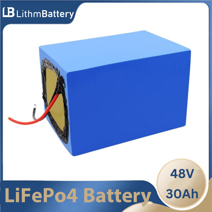 48V 30AH LiFePO4 battery pack 30A BMS 1200w