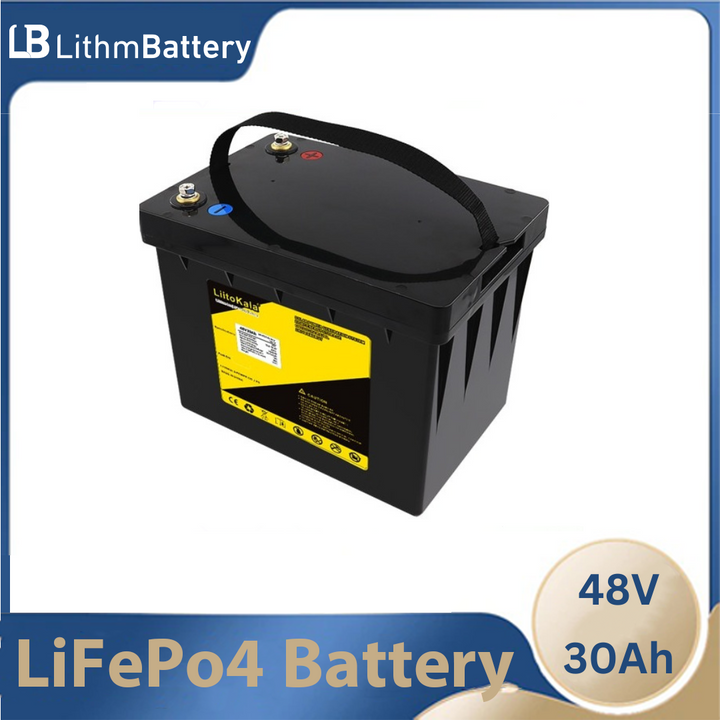 48V 30AH LiFePO4 battery 30A BMS 750w 2500w electric
