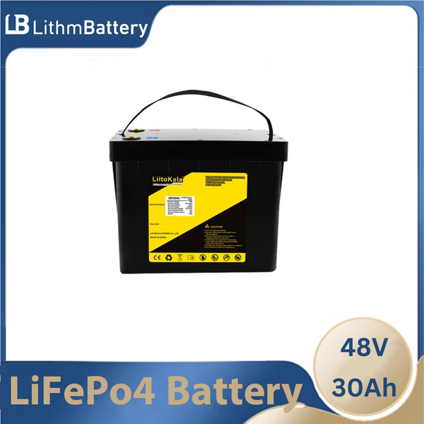 48v 30ah lifepo4 battery 30A BMS 48v 1500w electric bicycle