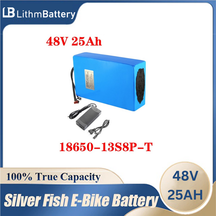 battery 48V25ah 48V 25AH 1000W E_bicycle 50A BMS+54.6V 2A charger