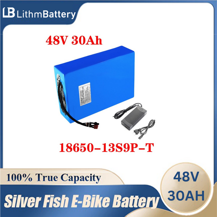 48v 30ah 48v 1000w 48V 30AH E_bike battery cell 48v