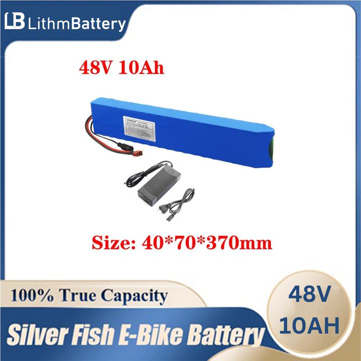 48V e-bike battery 48v 10ah1000w 54.6V2A charger