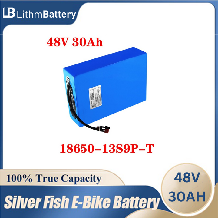 48V 20AH 30ah 15ah 12ah 25ah High power E_Bike Battery 48V