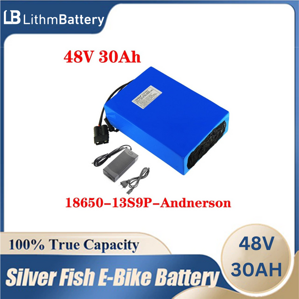 E_Bicycle Battery 48V 30AH 1000W 20A BMS 48V 30ah 13S9P 