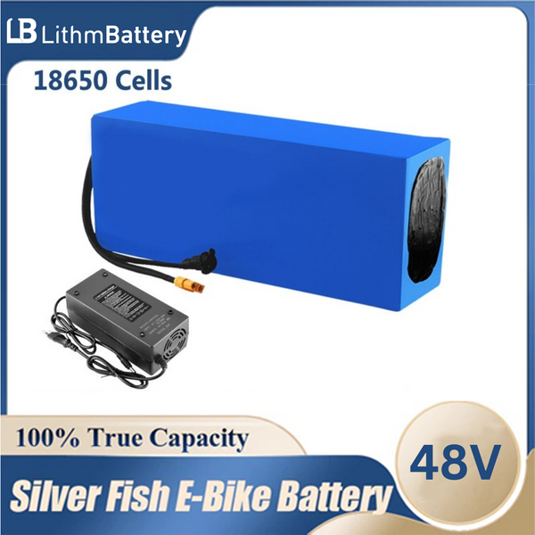 48V 30ah 20Ah 15ah 12ah 40ah 1000W E_bicycle 30A BMS 48V2A