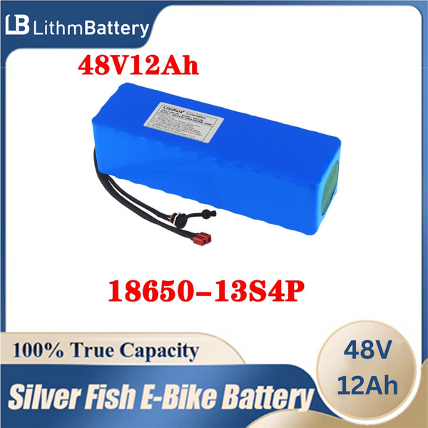 48V Battery 12Ah  E_Bike Battery 48V 250W-500W Motor 20A BMS