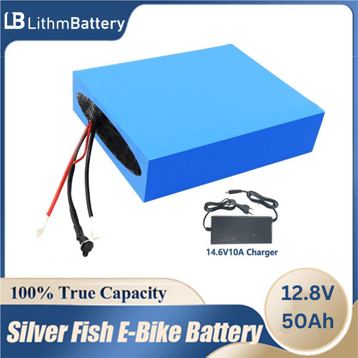12v 12.8v 50AH lifepo4 battery 12V 30Ah with BMS 12V