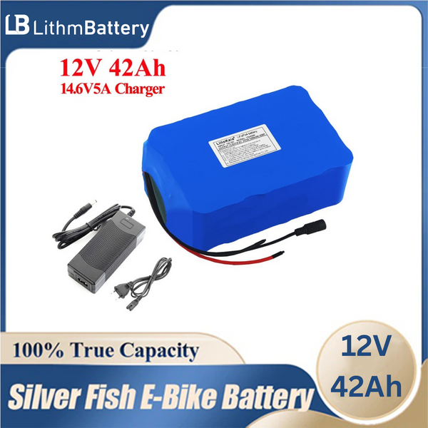 12V 42Ah Lifepo4 Battery Pack Balanced BMS 12.8V with 4S 100A BMS