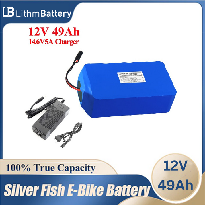 12V 49Ah Lifepo4 Battery Pack Balanced BMS 12.8V with 4S 100A