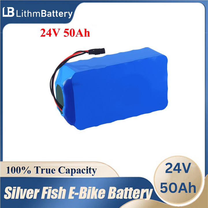 24V 50Ah Lifepo4 Battery Pack 1000W 8S 24 Volt LFP 50A BMS