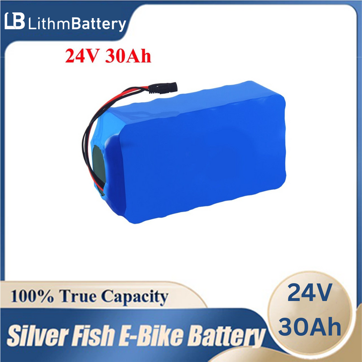 24V 30Ah LiFePO4 battery with 50A BMS 1000w ebike power