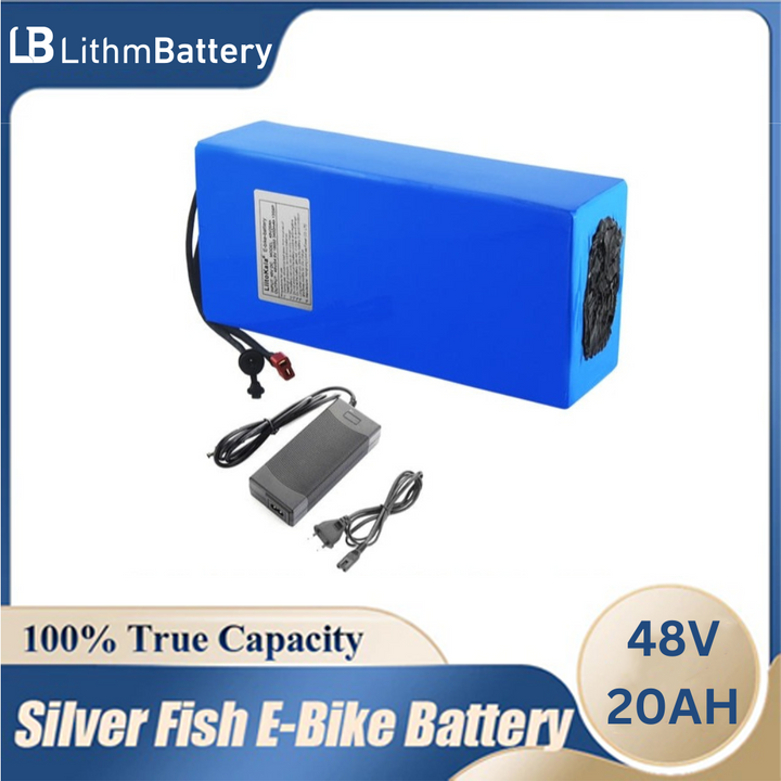 20AH 1000W 48V 20AH E-bike Battery 48V BMS 2A Charge
