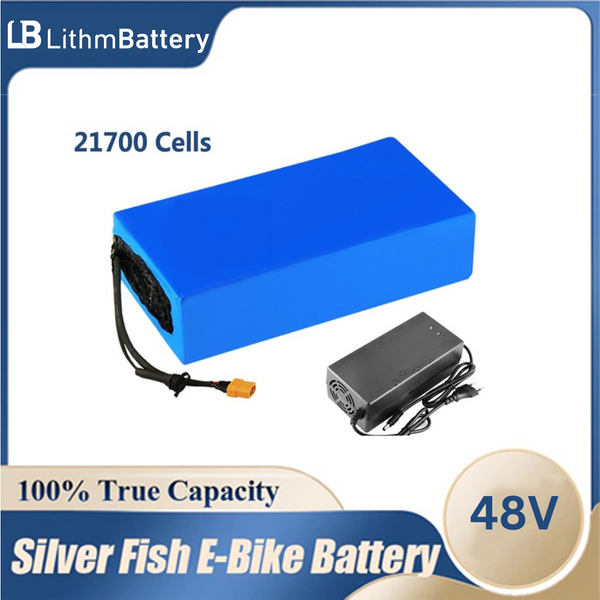 48V 20Ah 30Ah 40Ah 50Ah 25Ah E_Battery electric 48V5A