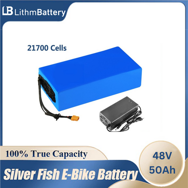 48V 50Ah E_Battery 13S10P 1000W-2500W 20A 30A 50A BMS