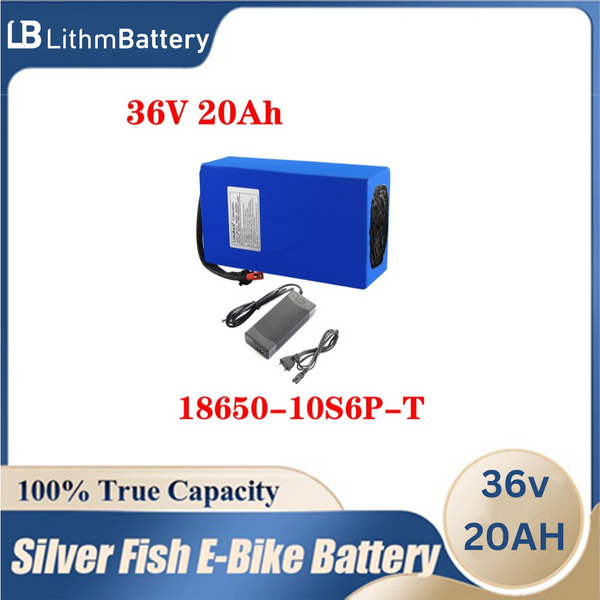 36V 20AH E_Bike 36 V 20ah 1000W30A BMS 42V2A charger