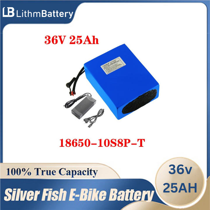 36V 25AH E_bike battery 36V 800W 20A BMS 42V 2A charger