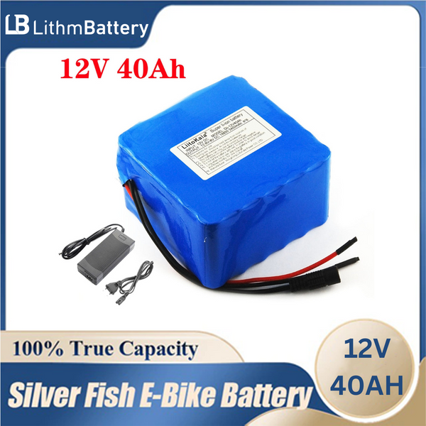 24V 6Ah 6S3P 25.2V 6000mAh Rechargeable Battery