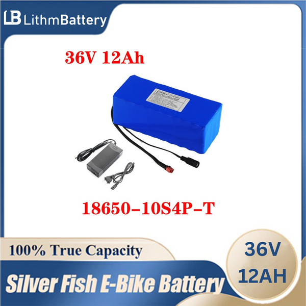 36V 12AH E_Bike Battery Built in 20A BMS 2A Charge