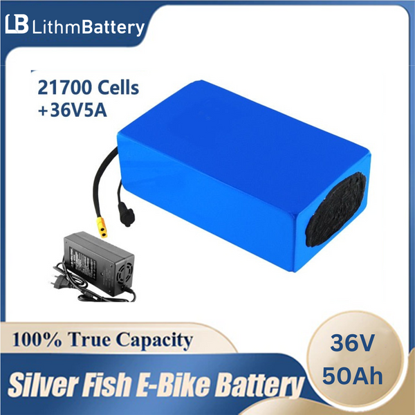 50Ah E_Bicycle Battery 30A BMS 36 Volt 5A + Charger