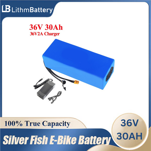 36V 20Ah 30Ah 25Ah 15Ah E_Motorcycle 30A 42V 2A charger XT60