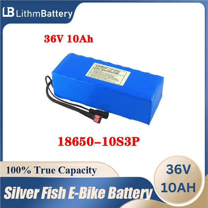 36V 10Ah 500W 42V E_car bicycle motor scooter with BMS