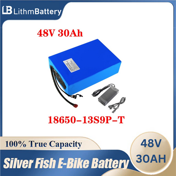 e-bike battery 48v 30ah li ion 1000w and charger