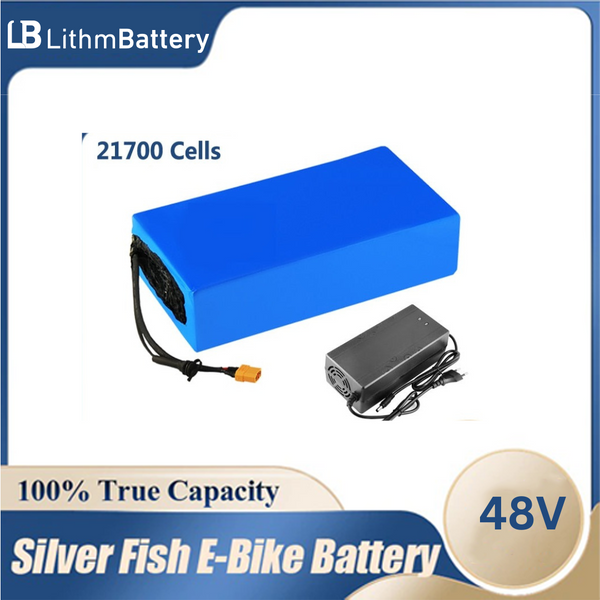 48V 50Ah 40Ah 35Ah 20Ah 25Ah Battery electric bike 48V5A