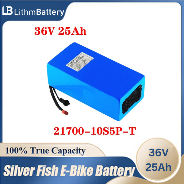 battery for a electric scooter