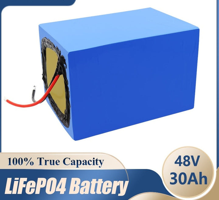 48V 30AH LiFePO4 battery pack 30A BMS 1200w