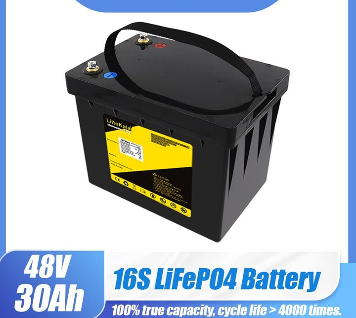 48V 30Ah 40Ah LiFePO4 battery 30A BMS 1500w electric bicycle